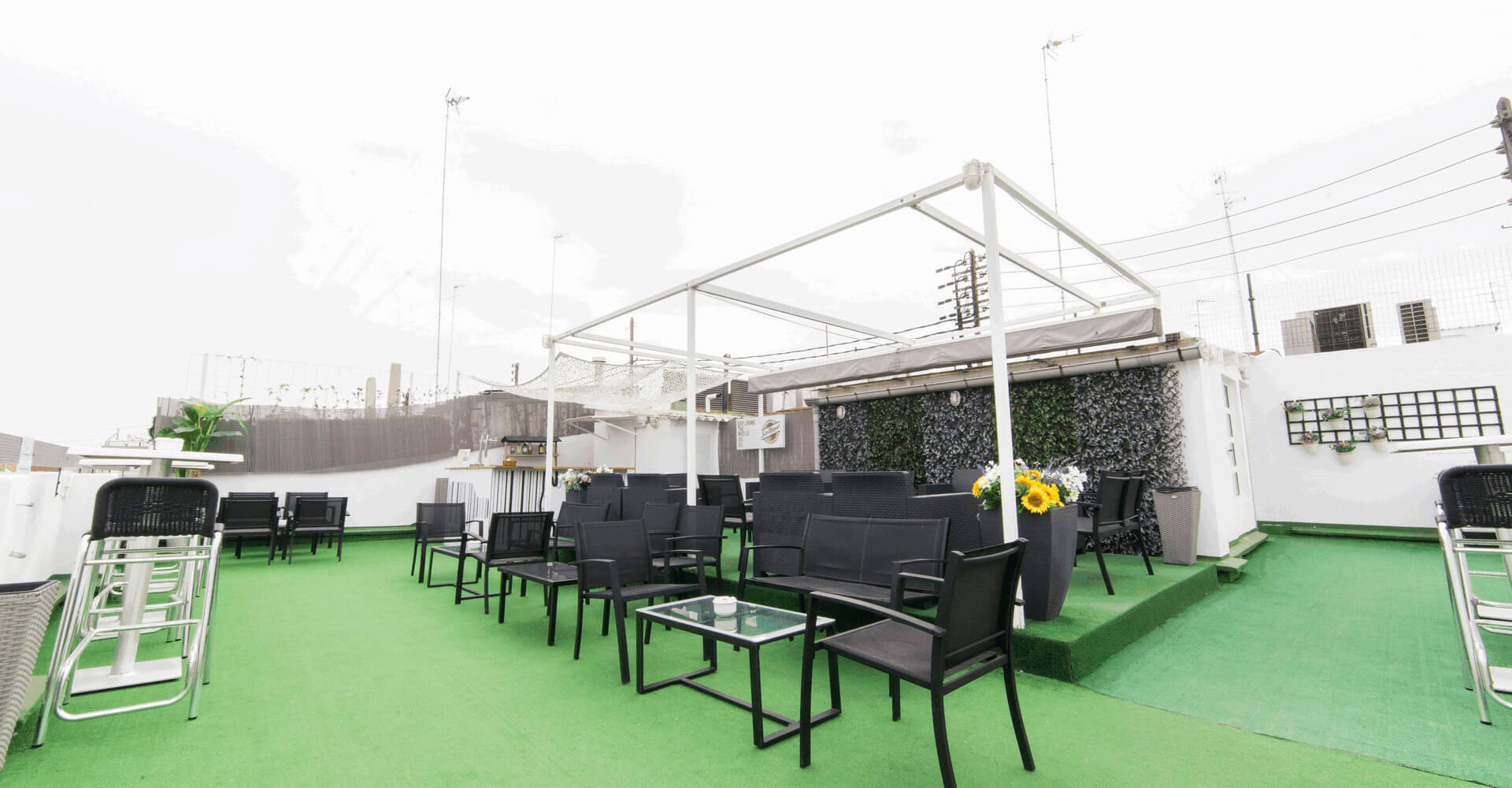 sweet-continental-39